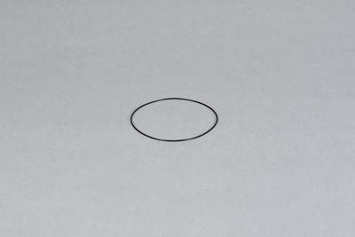 O-Ring Ø 98 x 1,5 mm 